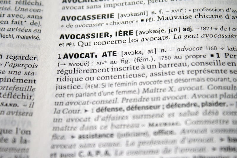 Human Rights Advocate